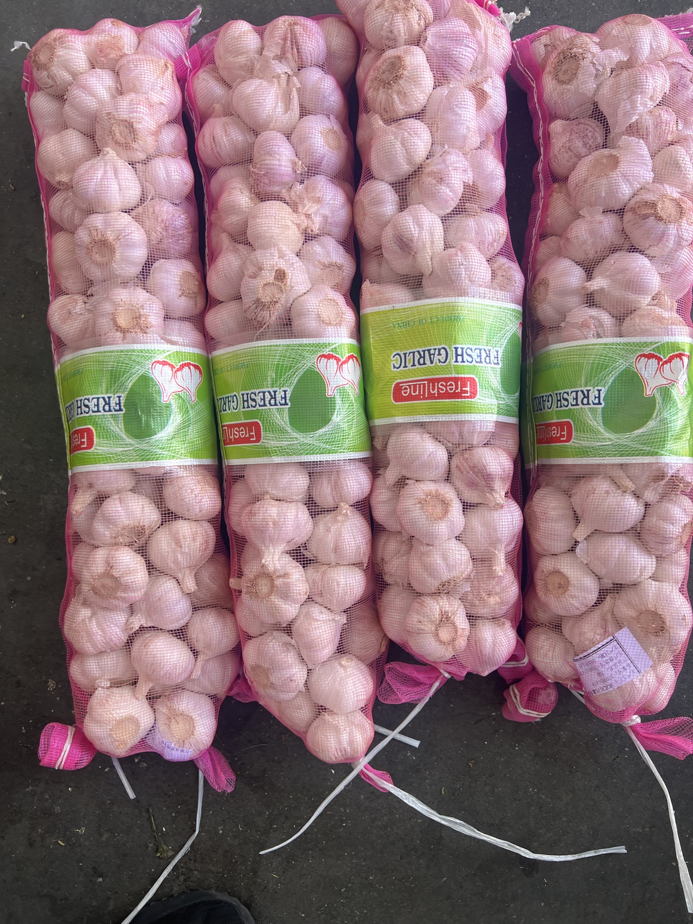 Packed fresh garlic in mesh bags
