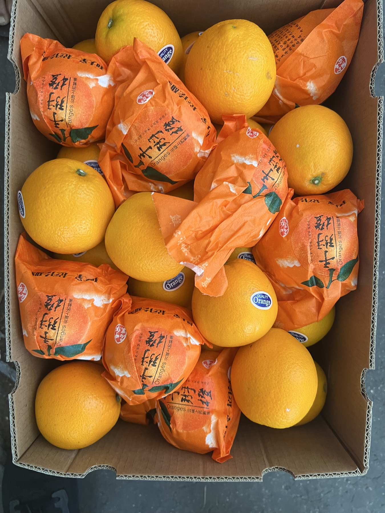 Packed citrus fruit in a carton