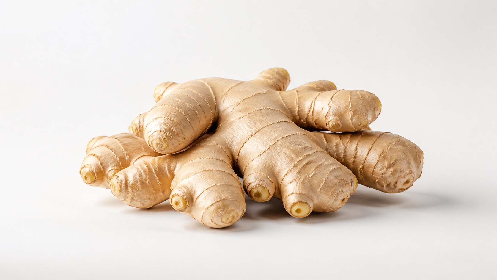 Premium Shandong big ginger